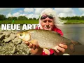 Download Lagu EEL FISHING on the RIVER with JÖRG OVENS - NEW FISH SPECIES DISCOVERED??? Catch something