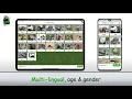 Introducing - Word Play Learn
