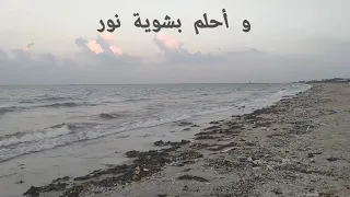 أنا شبه الناس   تامر عاشور   أقوى إحساس ممكن تسمعه    دندنها