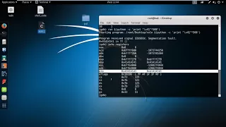 buffer overflow tutorial in kali linux to execute shell command