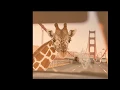 A Dope Collection Of Trippy Pictures Dope Content