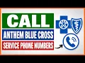 How To Find Call Anthem Blue Cross Customer Service Phone Number in 2026