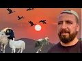 Download Lagu ANADOLU İNSANI / DAĞLARIN ZİRVESİNDE HAYAT / DAĞDAN DAĞA GÖÇ / MUTLULUK KAPISI