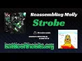 Strobe - Reassembling Molly 24k tracker module