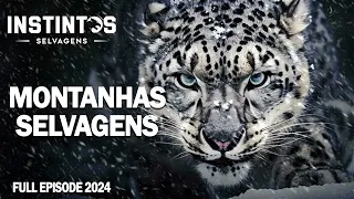 MONTANHAS SELVAGENS | Sobrevivência Extrema nas Montanhas Majestosas | Documentário Animais