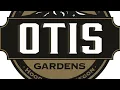 Gush Mints Strain 35 THC by Otis Weed-again Eugene OR