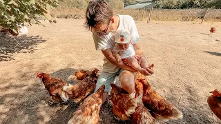 Home vegetable patch updates & Feeding the chickens at the farm