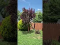 Selling my house in Ogden Utah 1728 Childs Avenue 84404