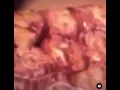 Synonym rolls meme