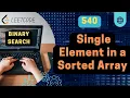 Single Element in a Sorted Array Leetcode 540 Binary Search Daily Challenge