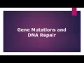 DNA repair