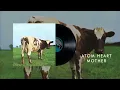 Download Lagu Pink Floyd - If (Official Audio)