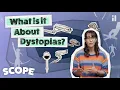 Why are we so fascinated by dystopian fiction Scope