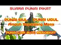 Download Lagu SUARA PIKAT PUNAI SIULAN AMPUH sepanjang masa