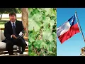 Download Lagu Chile | New World Wines