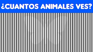 How Good Are Your Eyes? 🤔 Visual Test | Visual Games 👀