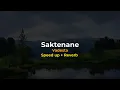 Lagu Saktenane - Vadesta (Speed up + Reverb)