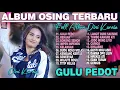 Download Lagu Dini Kurnia - GULU PEDOT, BOKONG SEMOK, KELANGAN - Full Album Lagu Osing Terbaru Viral On Trending