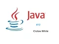 Tutorial 12 de Java - Ciclos While y Do While