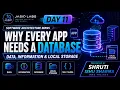 Why Every App Needs a Database Data Information Local Storage DB Explained Day 11
