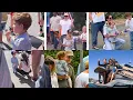 Just Chattin - Harry Meghan