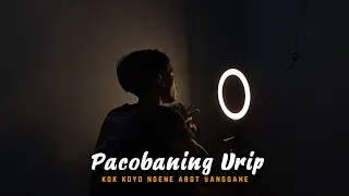 Download Kok Koyo Ngene Abot Sanggane Viral Tiktok ( PACOBANING URIP ) Cover By Amrii Aja MP3