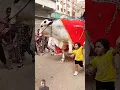 Download Lagu Big Bull.. big Guru cow videos for tiktok 🐂so beautiful ❤️#trading #shorts #vairalvideo