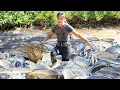 Download Lagu Harvest a Giant Fish Pond full of Huge Pomfret by hand, Bring them to the Market to Sell