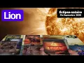 Download Lagu Lion ~ l’imprévu comble un manque ~ Fin septembre 2025