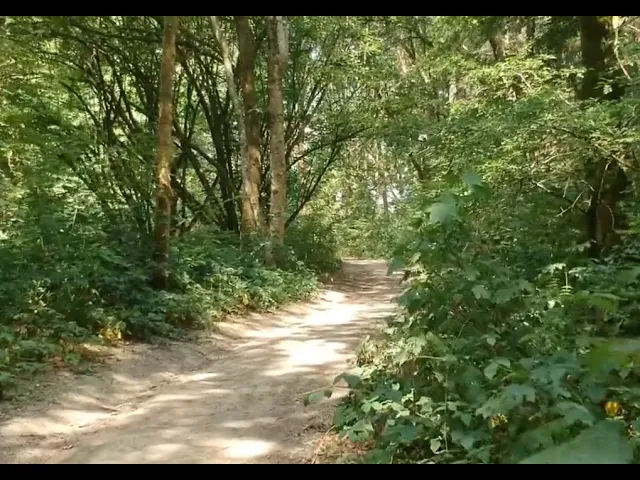 ⁣42 Tv Event | Fraicheur d'été, un chemin pour vous rafraîchir