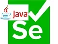 What are the minimum Java concepts required for Selenium