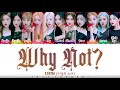 LOONA (이달의 소녀) - 'WHY NOT?' Lyrics [Color Coded_Han_Rom_Eng]