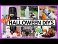 Must-Try Halloween DIYS to Impress Everyone Dollar Tree ideas HUGE crafts