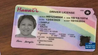 Get used to it Honolulu mayor responds to backlash over new Hawaii license ID design