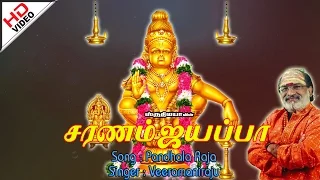 pandhala raja saranam ayyappa 