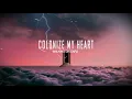 Walking On Cars - Colonize My Heart (Lyric video)