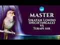 Download Lagu MASTER SIKATAN LONDO (Nightingale) Jeda TERAPI AIR