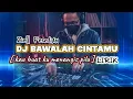 Download Lagu DJ BAWALAH CINTAMU-Ziell Ferdian |dj kau buat ku menangis pilu [LIRIK]