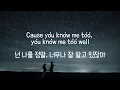 Download Lagu New Hope Club, Danna Paola – Know Me Too Well (한글 자막/가사/번역/가사해석/lyrics)