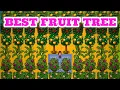 Stardew Valley 1 5 Ultimate Fruit Tree Guide