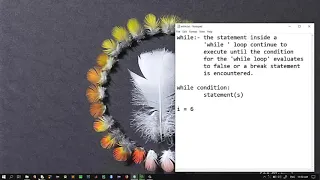 Learning python in amharic 7 while loop
