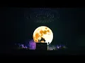 tuki. 『一輪花』1st Live at NIPPON BUDOKAN Drum Cover