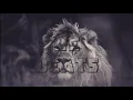 Tiësto & DallasK   Show Me Official Music Video   HE bEATS