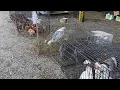 Visiting 11 ACRES FLEA MARKET in Thomasville NC USA