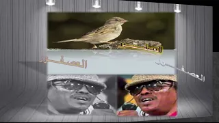 النور الجيلاني العصفور دندنها