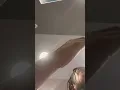 Marriott property Fairfield Inn Asst Manager attacks guest w service animal falsely charges