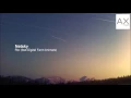 Netsky - Rio (feat. Digital Farm Animals)