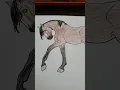 Horse coloring pages I colored part 1