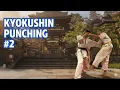Kumite PUNCHES in Kyokushin Karate Advanced Techniques