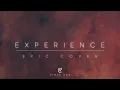 Experience - Vince Cox (Ludovico Einaudi Epic Cover)